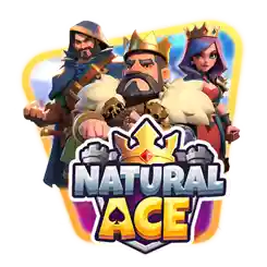 NATURAL ACE