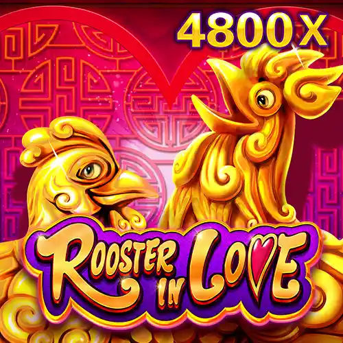 ROOSTER IN LOVE