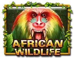AFRICAN WILDLIFE