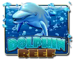 DOLPHIN REEF