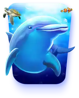 Dolphin Reef